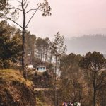 Купить диплом с занесением в реестр цен быстро и надежно image_1111-141.jpg