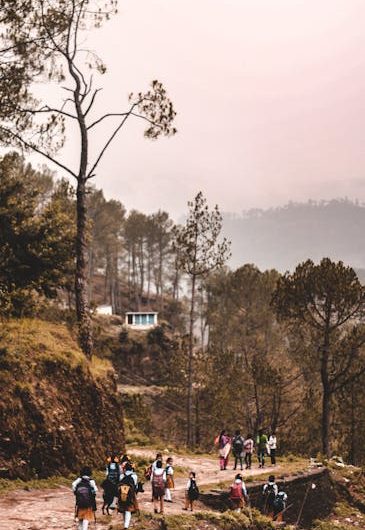 Купить диплом с занесением в реестр цен быстро и надежно